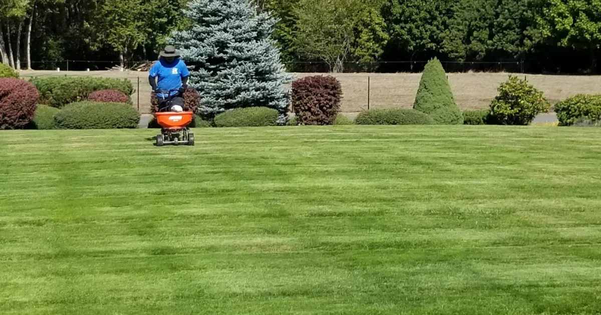 best lawn fertilizing company